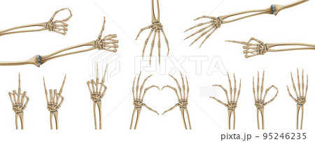 Skeleton Hands Icon Set 95246235