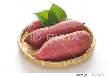 新鮮な薩摩芋（シルクスイート） 95247332