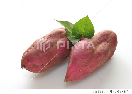 新鮮な薩摩芋（紅あずま） 95247364