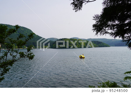 箱根芦ノ湖 アヒルの行列 箱根芦ノ湖 アヒルの行列 95248500