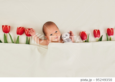 cute newborn baby with red tulips and teddy bear toy cute newborn baby with red tulips and teddy bear toy 95249350