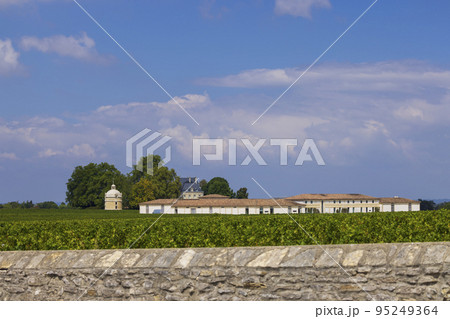 Typical vineyards near Chateau Latour, Bordeaux, Aquitaine, France Typical vineyards near Chateau Latour, Bordeaux, Aquitaine, France 95249364