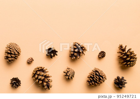 Christmas pine cones on colored paper border composition. Christmas, New Year, winter concept. Flat lay, top view, copy space 95249721