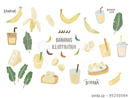 おしゃれなバナナの手描きイラスト 95250564