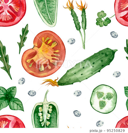 Seamless pattern with autumn vegetables hand-painted in watercolor on a white background. Cherry tomatoes, chili pepper. Perfect for textiles, scrapbooking, kitchen decoration, design. 95250829