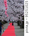 菊池公園桜 95251025