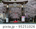 菊池公園桜 95251026