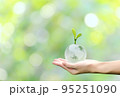 Young plant on crystal globe in hand with green background, concept for eco friendly business, green energy and climate change. 95251090