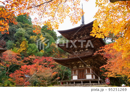 湖東三山/紅葉に包まれる国宝の西明寺三重塔(滋賀県甲良町) 湖東三山/紅葉に包まれる国宝の西明寺三重塔(滋賀県甲良町) 95251269