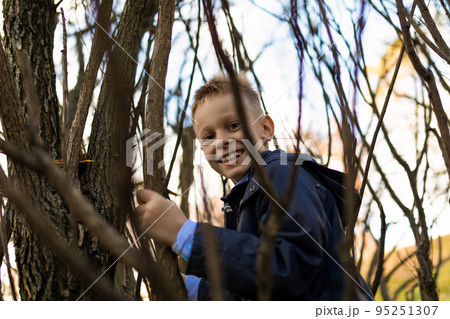 A mischievous boy in a blue jacket climbs a tree between branches A mischievous boy in a blue jacket climbs a tree between branches 95251307