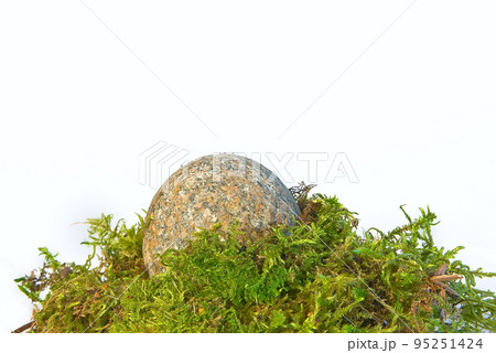 stones and a moss stones and a moss 95251424