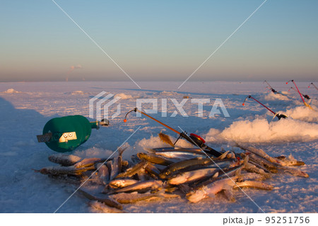 catch on Baltic 95251756