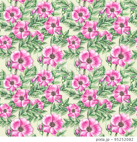 Watercolor Rosehip pattern 95252082
