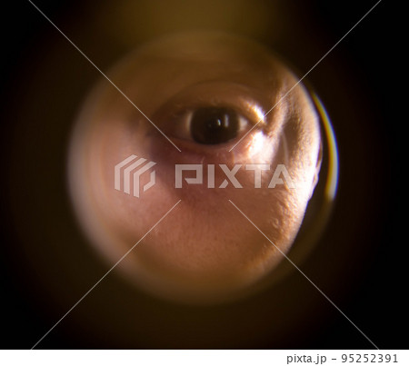 View from the peephole. The human eye looks through the peephole from the flight cage. Close-up View from the peephole. The human eye looks through the peephole from the flight cage. Close-up 95252391