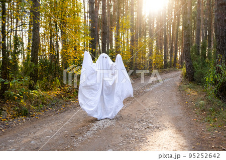 A child in sheets with cutout for eyes like a ghost costume in an autumn forest scares and terrifies. A kind little funny ghost. Halloween Party A child in sheets with cutout for eyes like a ghost costume in an autumn forest scares and terrifies. A kind little funny ghost. Halloween Party 95252642