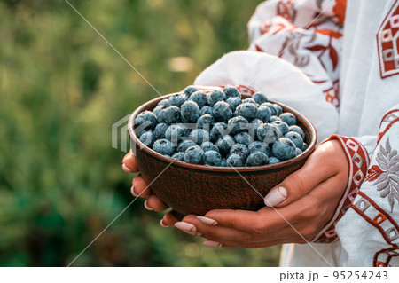 Ukrainian woman in embroidery vyshyvanka shirt holding blueberries on garden background. Rich 95254243
