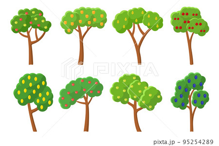 Green orchard fruit trees. Summer harvest ripe cherry apple pear plum lemon peach apricot. Fruit tree green garden flat cartoon set. Natural organic forest park isolated on white Green orchard fruit trees. Summer harvest ripe cherry apple pear plum lemon peach apricot. Fruit tree green garden flat cartoon set. Natural organic forest park isolated on white 95254289