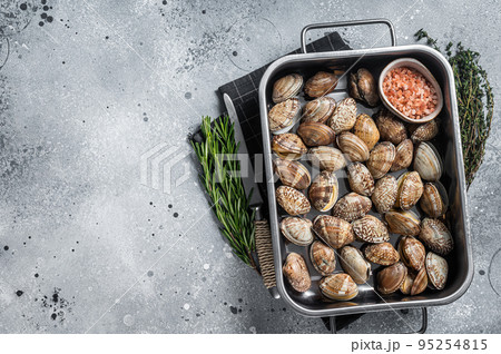 Raw shells Clams vongole in a steel tray. Gray background. Top view. Copy space Raw shells Clams vongole in a steel tray. Gray background. Top view. Copy space 95254815