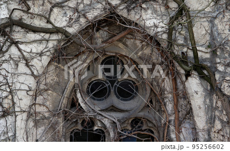 Detail of a Gothic window covered with branches. Detail of a Gothic window covered with branches. 95256602