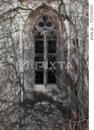 Detail of a Gothic window covered with branches. 95256605