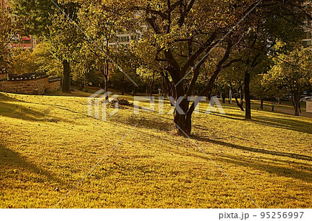 横 アジア 韓国 95256997