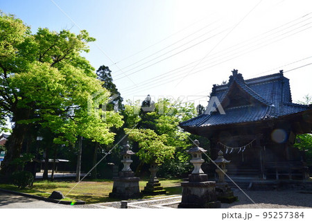 日枝神社（新潟県） 95257384