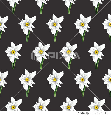 Seamless pattern of daffodil flower, high quality vector botanic illustration Seamless pattern of daffodil flower, high quality vector botanic illustration 95257910
