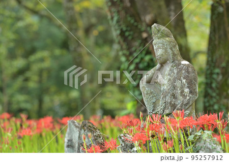 北杜市白州町、山寺の咲き始めたヒガンバナと苔むす石仏 95257912