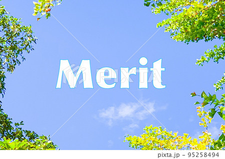 爽やかなフレームとMERITメリット 95258494
