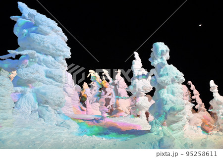 山形県　蔵王温泉スキー場 95258611