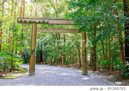 鳥居と緑の参道 鳥居と緑の参道 95260762