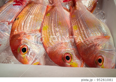 市場に並ぶレンコタイ 市場に並ぶレンコタイ 95261081