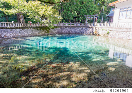 《山口県》別府弁天池　美祢市秋芳町 95261962