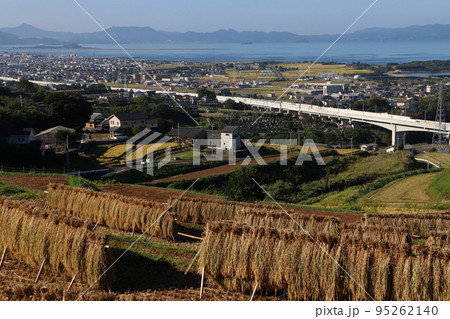 秋の大村市内を行く西九州新幹線かもめ号：N700S系 95262140