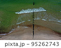 Wooden pier ruins in Baltic sea, aerial, Lithuania 95262743