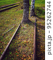Abandoned narrow-gauge railway and birch trees, lithuania 95262744