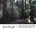 神道の森、高千穂 95262975