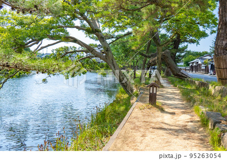 松江城 お堀 遊歩道(島根県松江市) 松江城 お堀 遊歩道(島根県松江市) 95263054