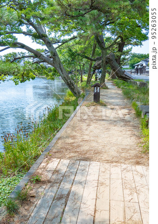 松江城 お堀 遊歩道(島根県松江市) 松江城 お堀 遊歩道(島根県松江市) 95263055