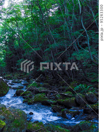 栃木県 那須高原にある乙女の滝 95263300