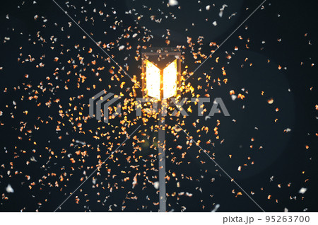 街灯に集まるノンネマイマイ(北海道・上士幌町) 街灯に集まるノンネマイマイ(北海道・上士幌町) 95263700