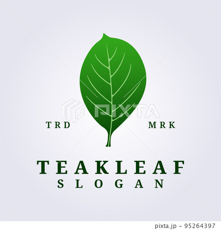 logo of green teak leaf vector illustration design 95264397