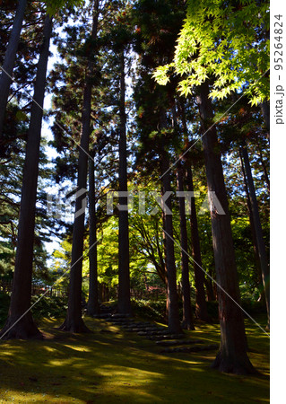 函館見晴公園・香雪園～園敷地内 95264824