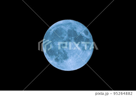 ブルームーンのイメージ 95264882