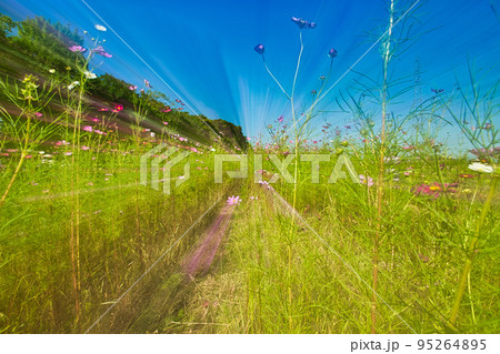 夢の世界 夢の世界 95264895