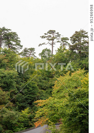 奥の細道で松尾芭蕉が詠んだ山形の山寺立石寺 95266998
