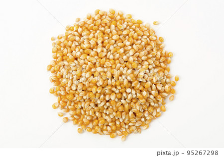 ポップコーンの種　乾燥トウモロコシ 95267298