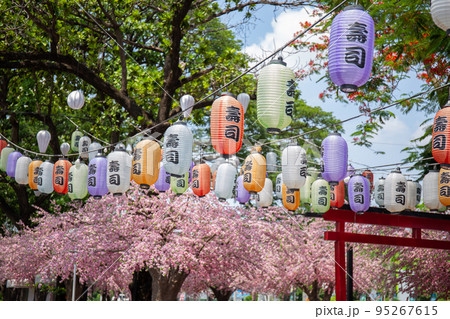 Various colored Japanese lanterns that decorate the cherry blossoms in rows. The text on the lantern is in Japanese Sushi. Various colored Japanese lanterns that decorate the cherry blossoms in rows. The text on the lantern is in Japanese Sushi. 95267615