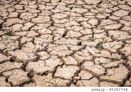 Dry soil cracked in an arid environment without water. Copy space background, texture Dry soil cracked in an arid environment without water. Copy space background, texture 95267748