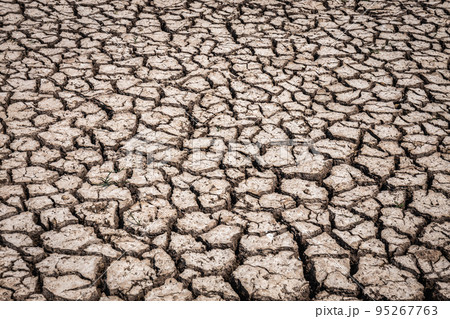 Dry soil cracked in an arid environment without water. Copy space background, texture Dry soil cracked in an arid environment without water. Copy space background, texture 95267763